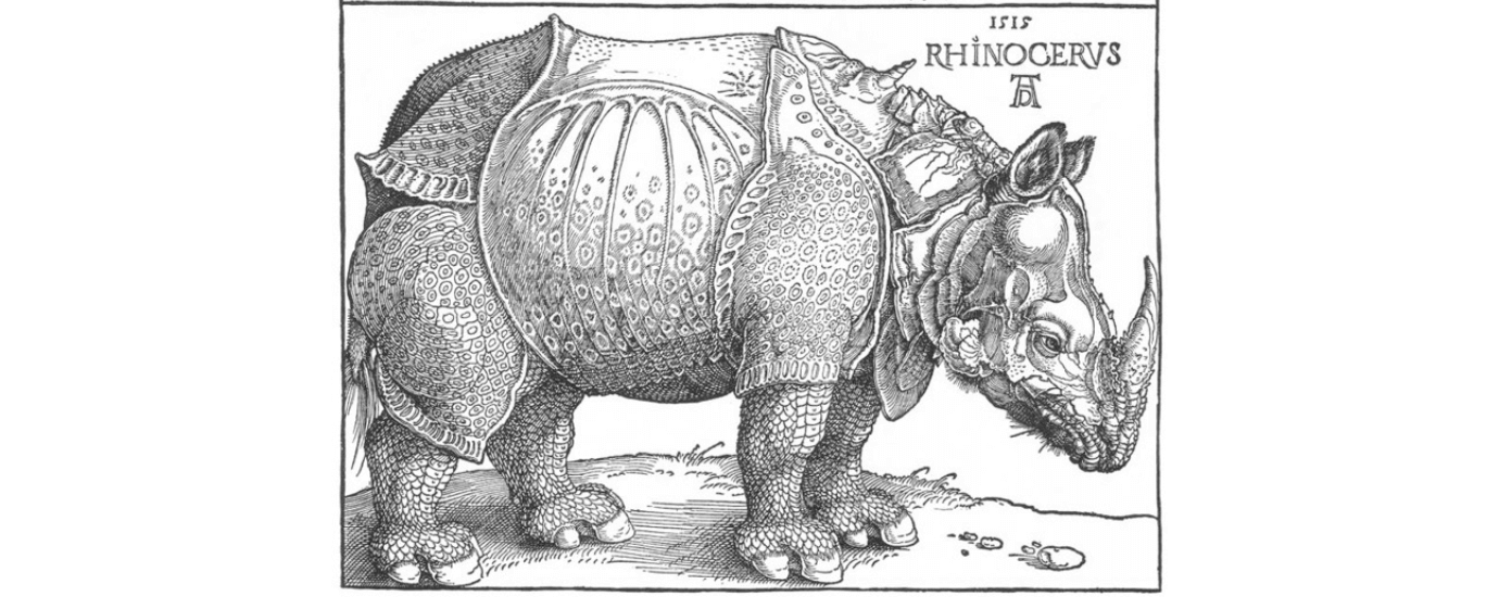 rhinoceros durer