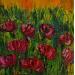 Painting Champ fleuri by Shahine | Painting Oil