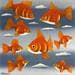 Painting Gold fishes by Trevisan Carlo | Painting Figurative Portrait Pop icons Oil