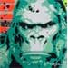 Gemälde Kong von Euger Philippe | Gemälde Street art Porträt Pop-Ikonen Tiere Graffiti Acryl Collage