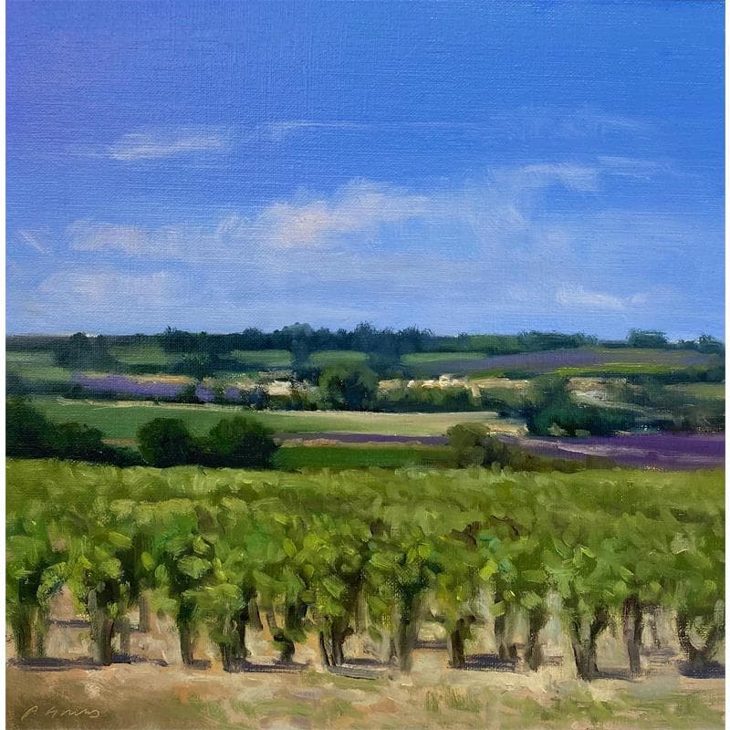 Gemälde Vignes vers Châteauneuf-du-Pape von Giroud Pascal | Gemälde Öl