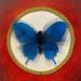 Painting La farfalla volo tra il rosso di Pompei by Nai | Painting Naive art Acrylic