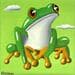 Painting Green frog by Trevisan Carlo | Painting Oil