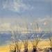 Gemälde Un souffle d'air von Guillet Jerome | Gemälde Figurativ Marine Öl
