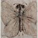 Gemälde Papillon blanc von Maury Hervé | Gemälde Figurativ Tiere