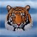 Gemälde Eyes of tiger von Trevisan Carlo | Gemälde Naive Kunst Tiere Öl