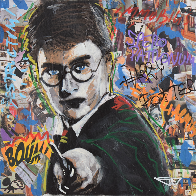 Painting Harry Potter by G. Carta | Painting Pop art Mixed Pop icons