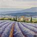 Gemälde Morning on lavender von Requena Elena | Gemälde Figurativ Landschaften Öl
