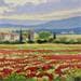 Painting Views on poppies field by Requena Elena | Painting Figurative Landscapes Oil