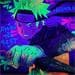 Peinture Naruto par Kedarone | Tableau Street Art Mixte icones Pop