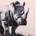 Painting Rhinoceros  by Locoge Alice | Painting Acrylic