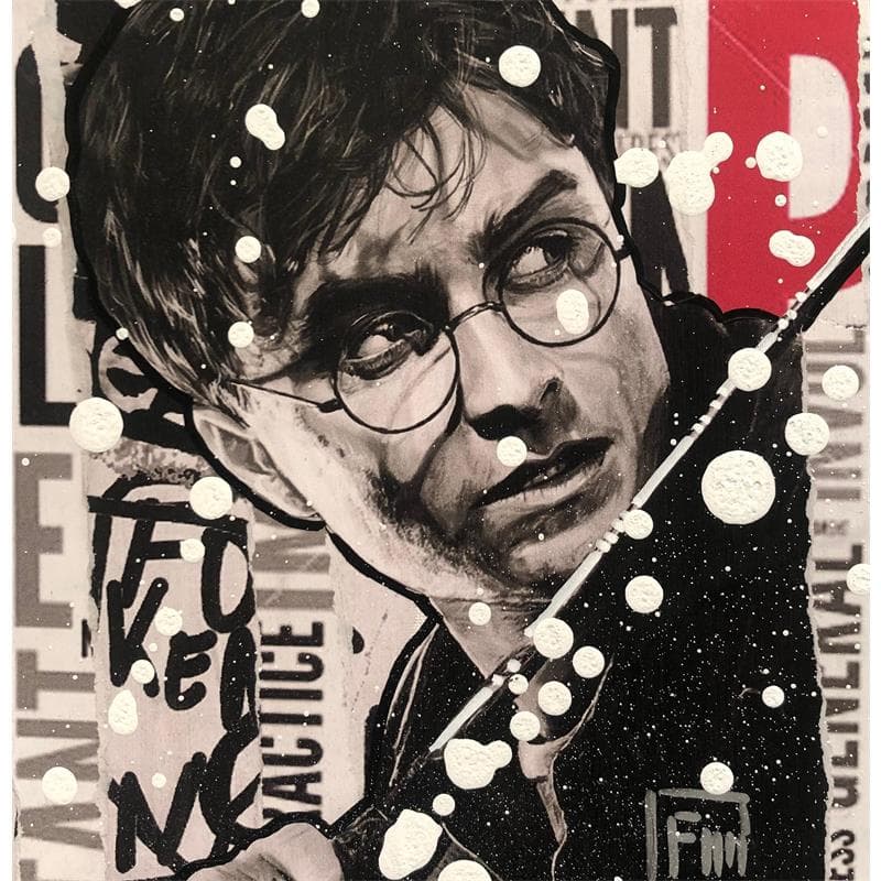 Peinture Harry Potter par Lamboley Franck | Tableau Pop Art Mixte icones Pop