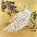 Peinture Paon Blanc  par Tayun | Tableau Figuratif Aquarelle animaux