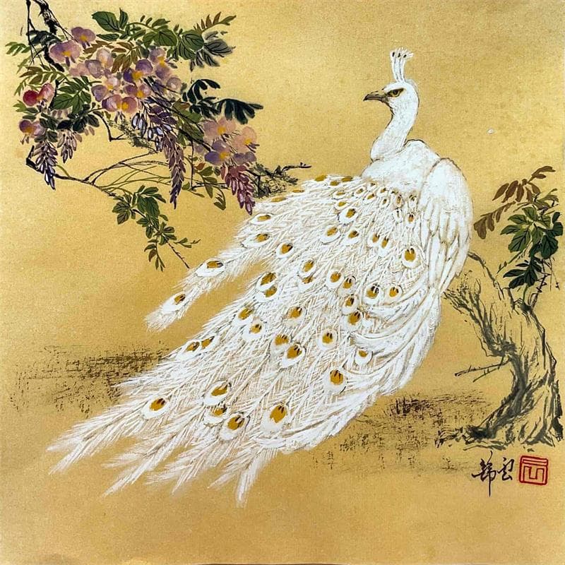 Peinture Paon Blanc  par Tayun | Tableau Figuratif Aquarelle animaux