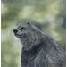 Peinture L'ours par Pressac Clémence | Tableau Figuratif Animaux Huile