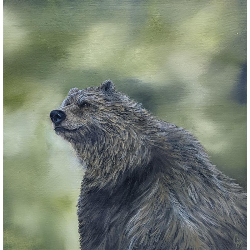 Peinture L'ours par Pressac Clémence | Tableau Figuratif Huile Animaux