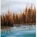 Gemälde Lac automnal von Pressac Clémence | Gemälde Figurativ Landschaften Öl