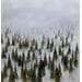 Gemälde Grande brume von Pressac Clémence | Gemälde Figurativ Landschaften Öl