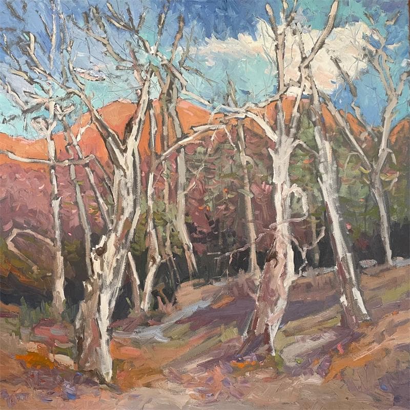 Painting Sedona Sycamores by Carrillo Cindy  | Painting Figurative Oil Landscapes