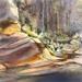 Painting Sedona #95 by Seruch Capouillez Isabelle | Painting Figurative Landscapes Watercolor