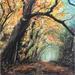 Painting Bois de Serretronc by Nahon Bruno | Painting Figurative Landscapes Acrylic