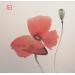 Peinture Poppies 4 par De Giorgi Mauro | Tableau Art Singulier Paysages