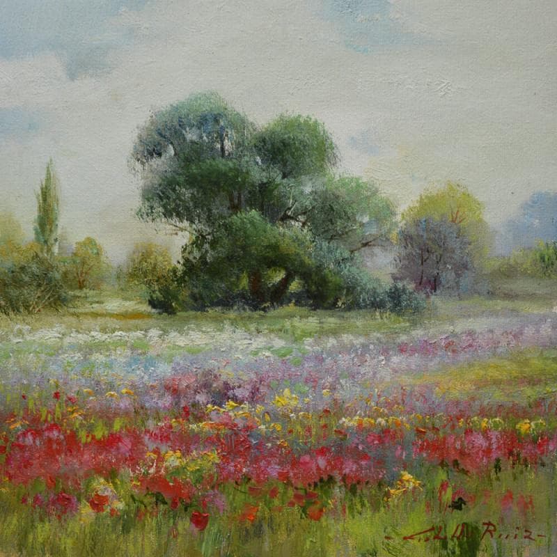 Painting Campo horido by Cabello Ruiz Jose | Painting Figurative Oil Landscapes
