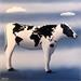 Painting Around the world by Trevisan Carlo | Painting Surrealism Animals Oil
