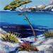 Painting Pin dans les calanques by Degabriel Véronique | Painting Figurative Landscapes Marine Nature Oil