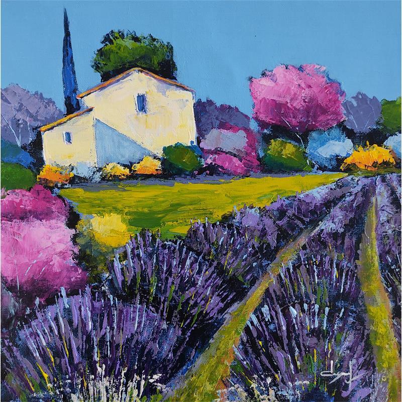Painting Lavandes en Provence by Degabriel Véronique | Painting Figurative Oil Landscapes, Nature