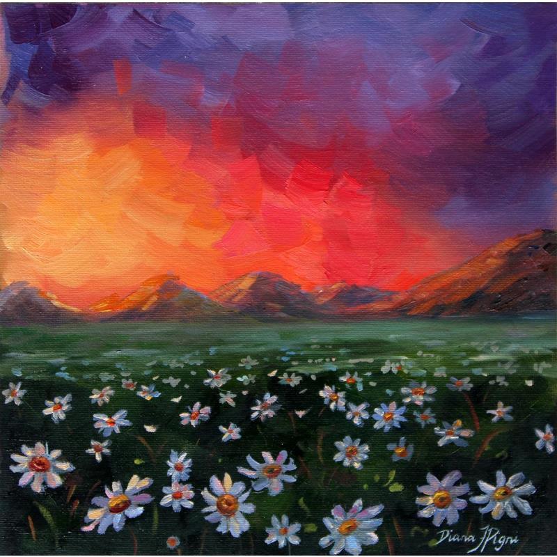 Painting Warm sunset and daisies by Pigni Diana | Painting Figurative Oil