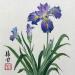 Gemälde Iris von Tayun | Gemälde Figurativ Natur Aquarell Tinte