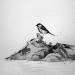 Peinture Bec de l'aigle par Mü | Tableau Figuratif Marine Animaux Noir & blanc