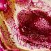 Painting 745 Tourmaline Rose by Depaire Silvia | Painting Abstract Landscapes Pop icons Minimalist Mixed