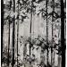 Painting Forêt by Locoge Alice | Painting Figurative Animals Acrylic