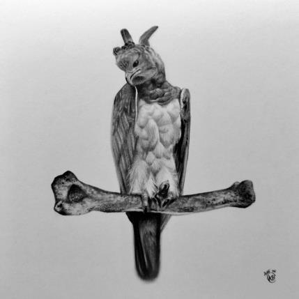 Gemälde Harpie féroce von Benchebra Karim | Gemälde Figurativ Zeichenkohle Alltagsszenen, Schwarz & Weiß, Tiere