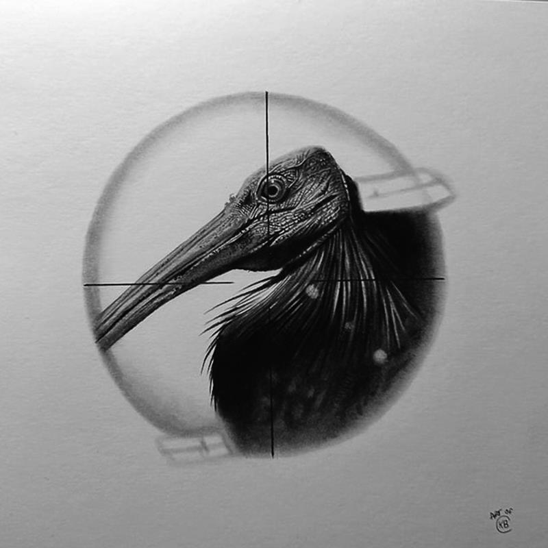 Peinture Ibis chauve par Benchebra Karim | Tableau Figuratif Fusain Animaux, Noir & blanc, Scènes de vie