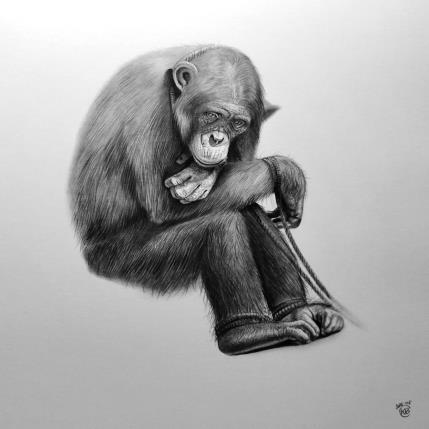 Gemälde Chimpanzé von Benchebra Karim | Gemälde Figurativ Zeichenkohle Alltagsszenen, Schwarz & Weiß, Tiere