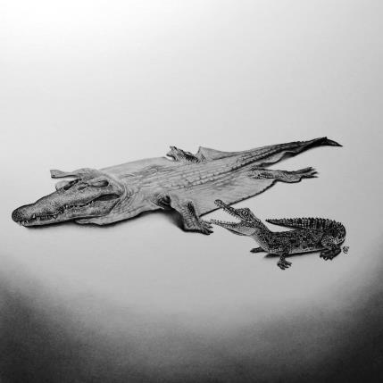 Painting Crocodile by Benchebra Karim | Painting Figurative Charcoal Animals, Black & White, Life style