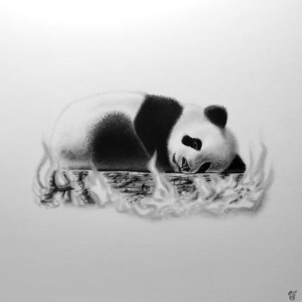 Painting Panda by Benchebra Karim | Painting Figurative Charcoal Animals, Black & White, Life style