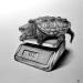 Peinture Tortue alligator par Benchebra Karim | Tableau Figuratif Scènes de vie Animaux Noir & blanc Fusain