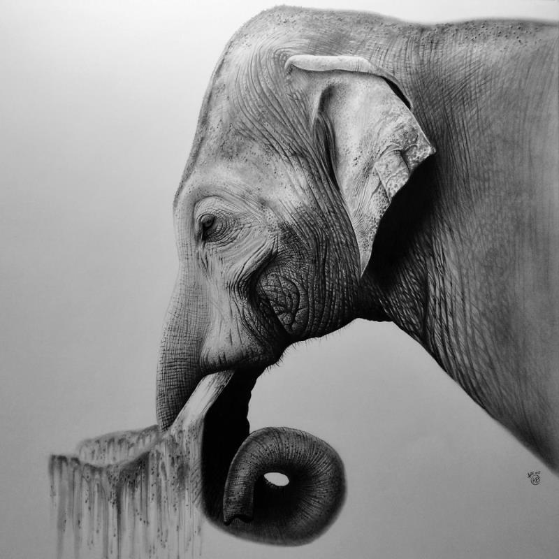 Peinture Eléphant par Benchebra Karim | Tableau Figuratif Fusain animaux, noir & blanc, scènes de vie