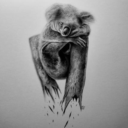Gemälde Koala von Benchebra Karim | Gemälde Figurativ Zeichenkohle Alltagsszenen, Schwarz & Weiß, Tiere