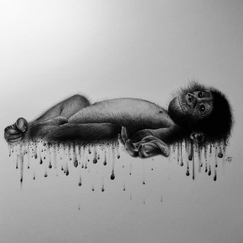 Peinture Bonobo par Benchebra Karim | Tableau Figuratif Fusain Animaux, Noir & blanc, Scènes de vie