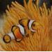 Peinture Tropical fish par Parisotto Alice | Tableau Figuratif Nature Animaux Huile