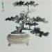 Peinture Bonsai par Du Mingxuan | Tableau Figuratif Natures mortes Aquarelle