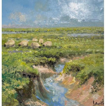 Painting Moutons en baie de somme 2 by Daniel | Painting Figurative Oil