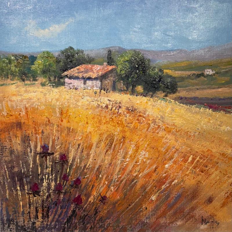 Painting Les herbes sèches en Provence by Daniel | Painting Figurative Oil