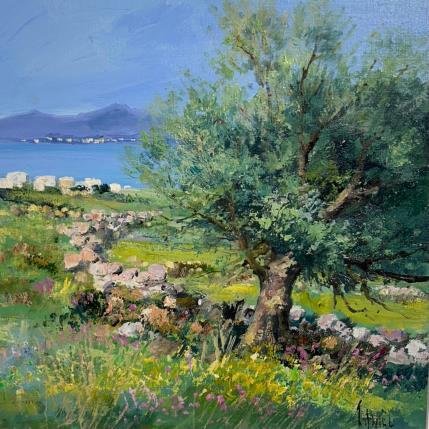 Painting Sur les hauteurs de Paros Grèce by Daniel | Painting Figurative Oil