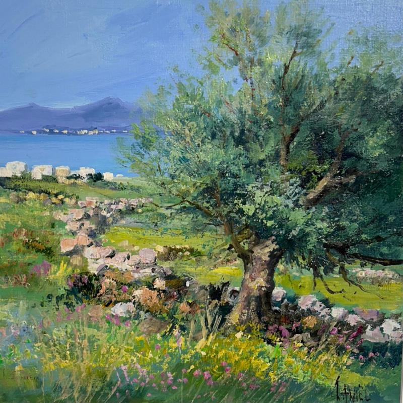 Gemälde Sur les hauteurs de Paros Grèce von Daniel | Gemälde Figurativ Öl